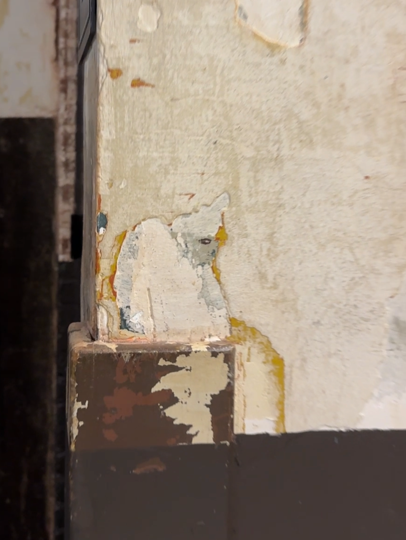 The original wall surface where Maharaja was discovered