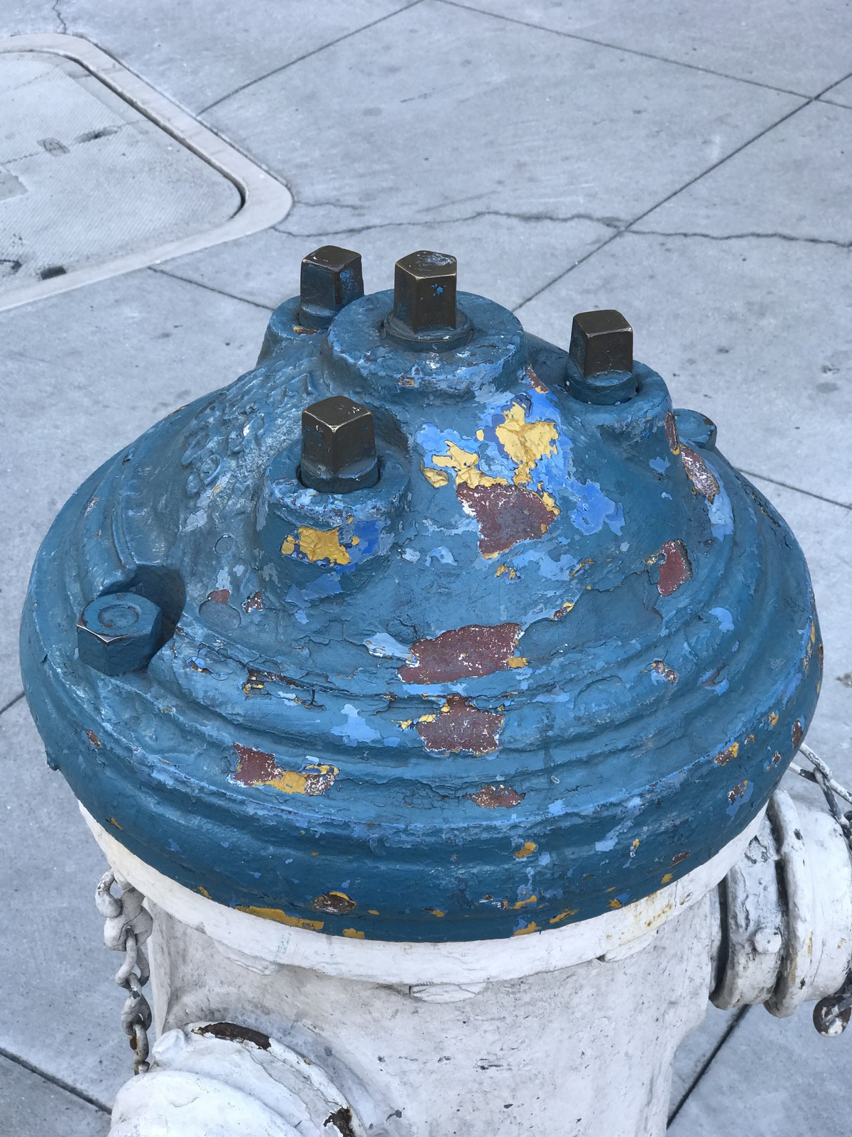The fire hydrant where True Colors was discovered