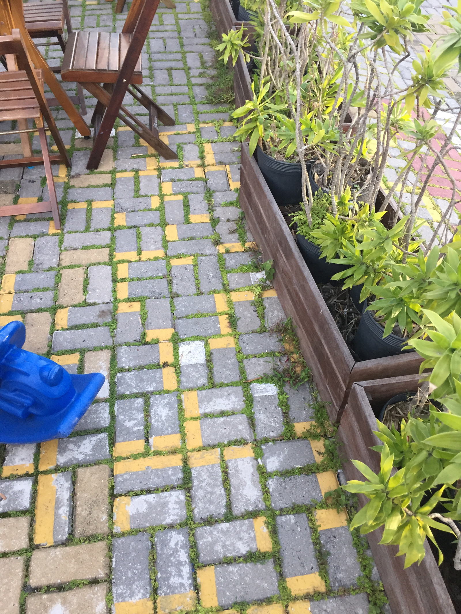 The tiled patio where Video Game was discovered